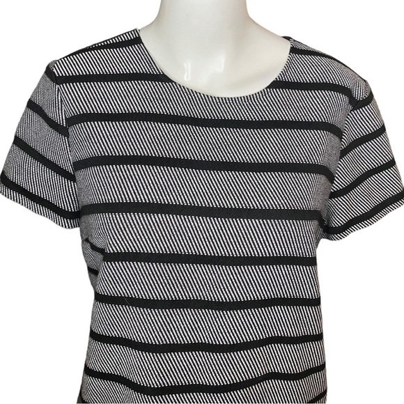Ann Taylor Dress Shift Striped Black Back Panel Size S - Picture 3 of 10